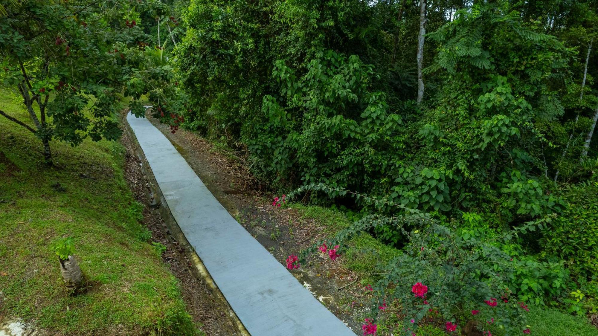 Serenity Rainforest Condos La Fortuna Bagian luar foto