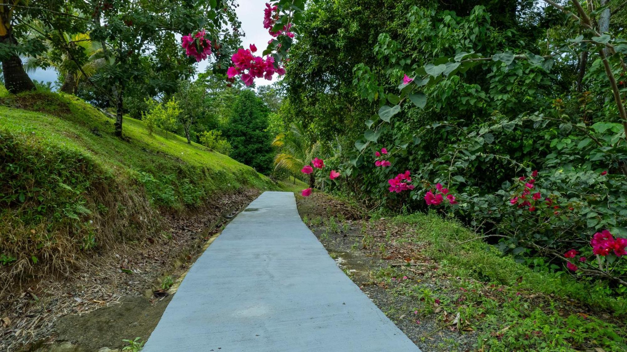 Serenity Rainforest Condos La Fortuna Bagian luar foto